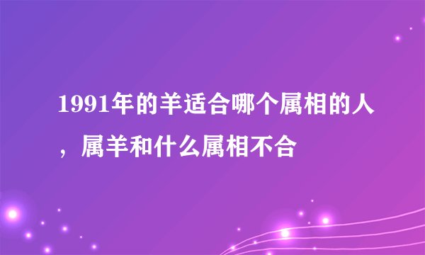 1991年的羊适合哪个属相的人，属羊和什么属相不合