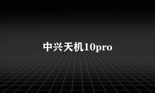 中兴天机10pro