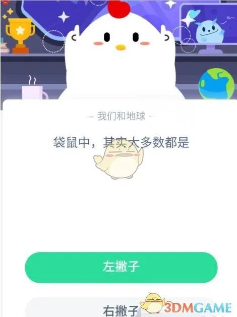 袋鼠中，其实大多数都是