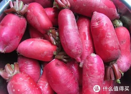 泡菜的制作方法