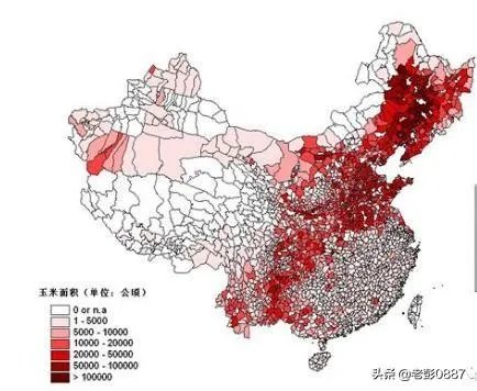 中国哪里玉米最好？