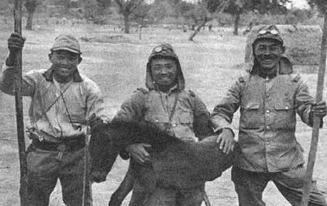 帝国主义国家是指哪几个？