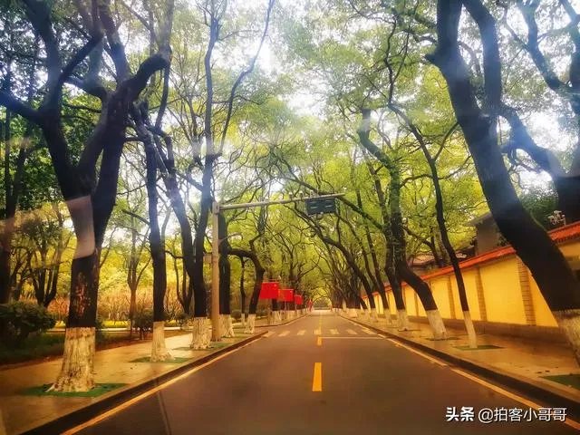 如何看待学生旅客3月31前机票可免费退改签？