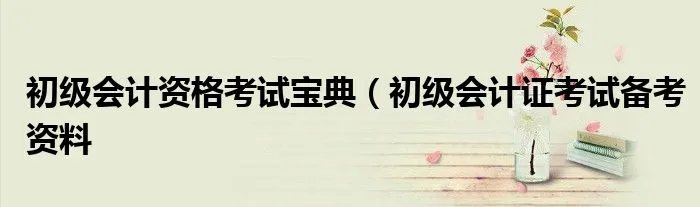 初级会计资格考试宝典（初级会计证考试备考资料