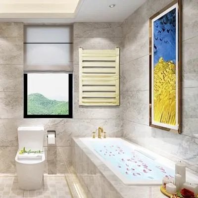 卫浴散热器很流行，什么是卫浴散热器呢？