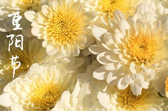重阳节的来历30字