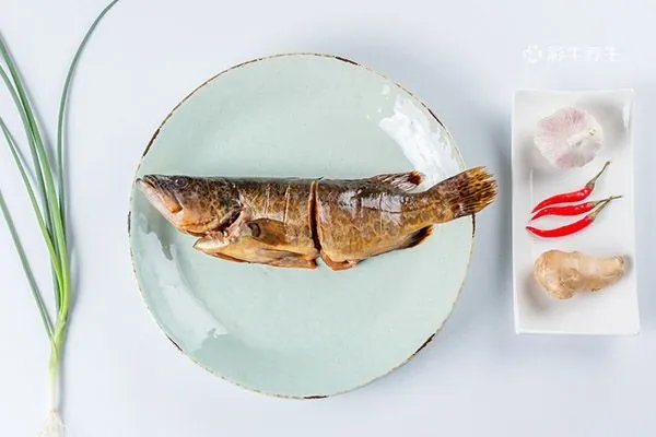 桂鱼的营养价值及功效