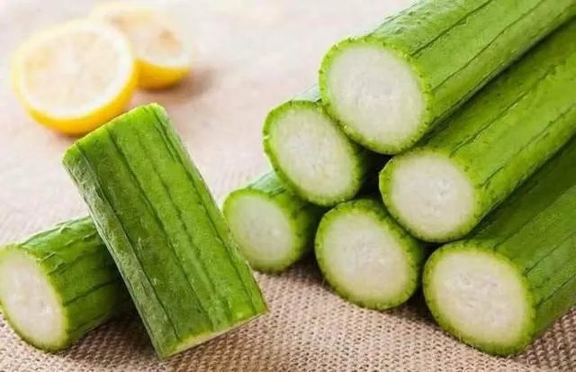 持续高温对丝瓜种植有什么影响？