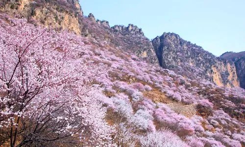 求邢台旅游景点大全排名，哪些比较值得去？