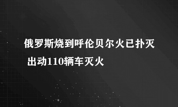 俄罗斯烧到呼伦贝尔火已扑灭 出动110辆车灭火