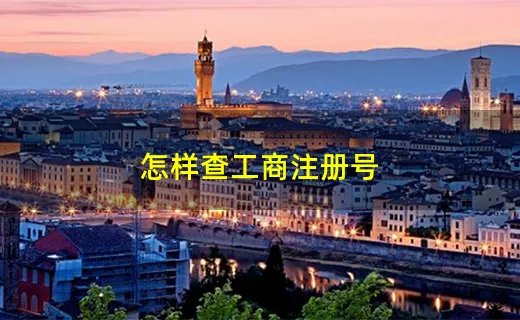 怎样查工商注册号