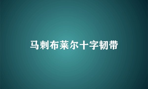 马刺布莱尔十字韧带