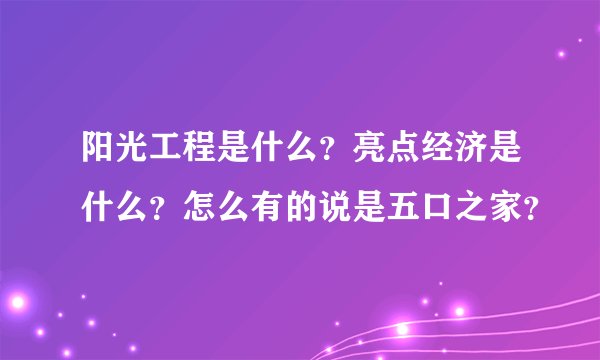 阳光工程是什么？亮点经济是什么？怎么有的说是五口之家？
