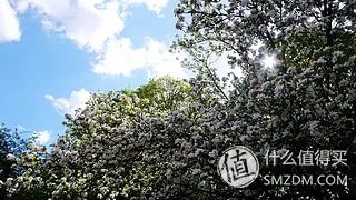 谢谢你陪我走过那段路  Panasonic  松下  Lumix  LX2  数码相机