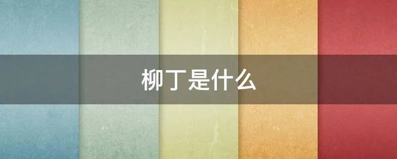 柳丁是什么