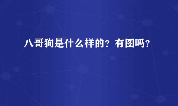 八哥狗是什么样的？有图吗？