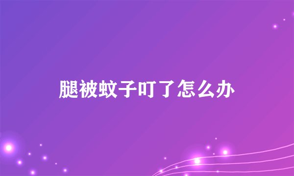 腿被蚊子叮了怎么办