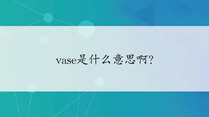 vase是什么意思啊？