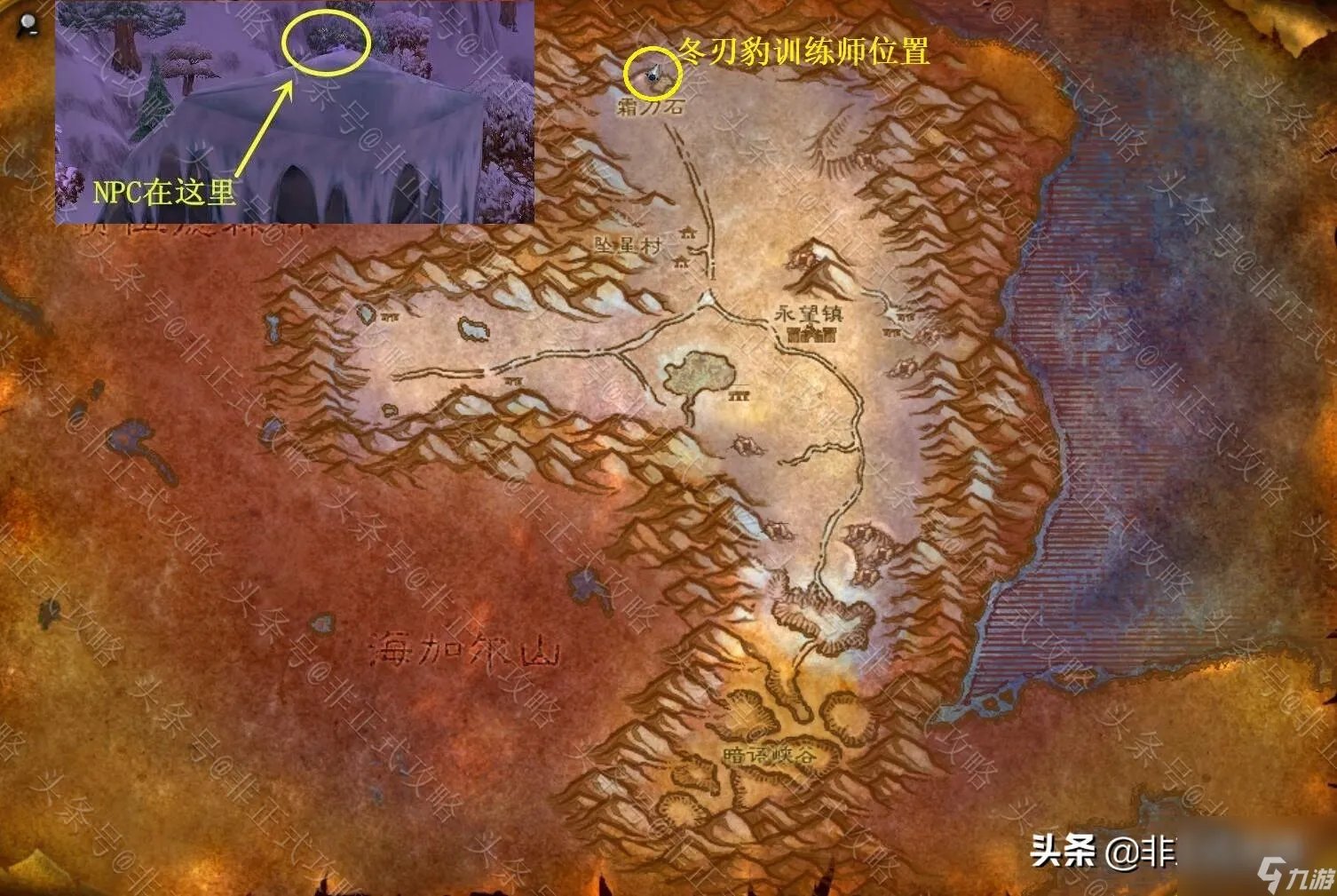 魔兽冬泉谷霜刃豹怎么获取 冬泉谷霜刃豹坐骑任务全流程攻略