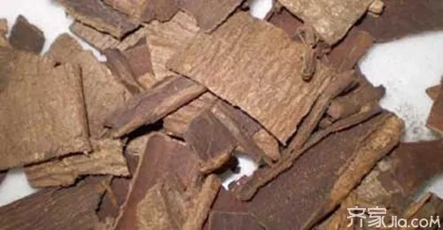 杜仲种子功效 杜仲种子功效与副作用