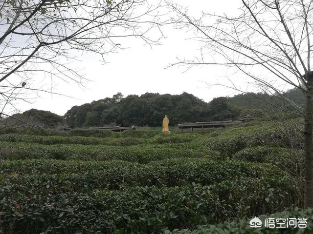 在龙岩生活是一种什么样的体验?