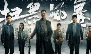 扫黑风暴一共几集? 扫黑风暴全剧有多少集