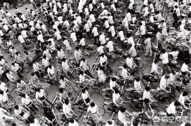 捷安特自行车和永久自行车哪个性价比更高？