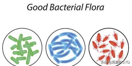 大肠杆菌检测方法国标是用什么方法检测的？