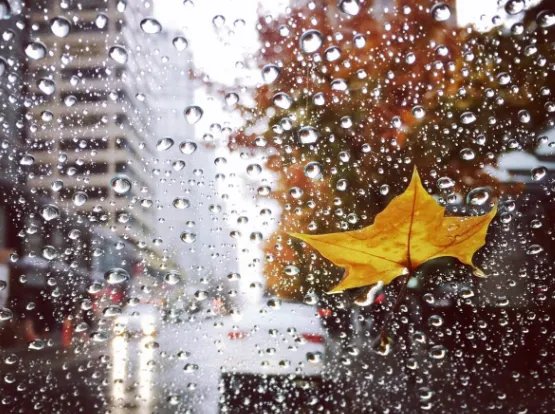 形容下雨幽默句子