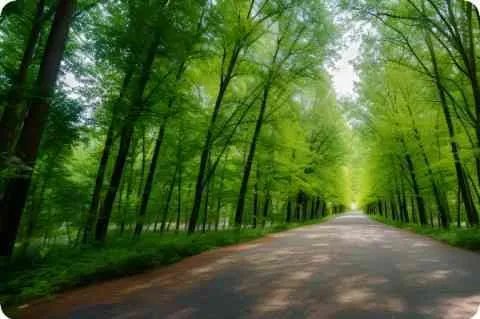 玩手指滑板的那个动画片叫什么