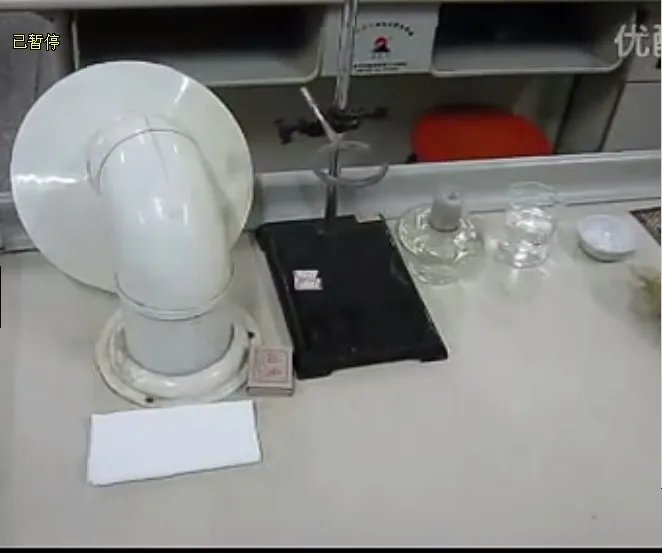 左威威的娱乐届好评