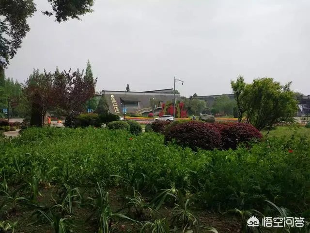 都江堰青城山周边一日游，该怎么安排？