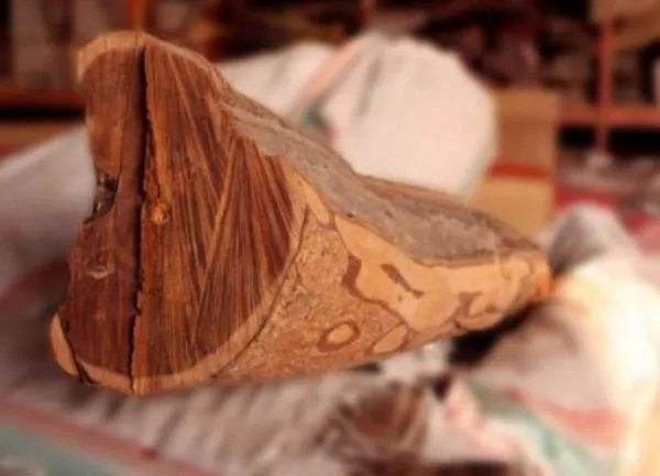 檀木的种类有哪些