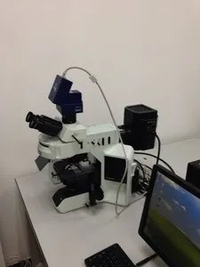 奥林巴斯BX53-厂家官网-北京报价查询