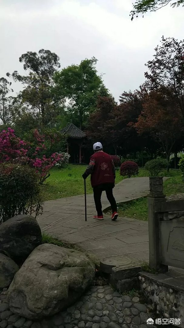 都江堰青城山周边一日游，该怎么安排？