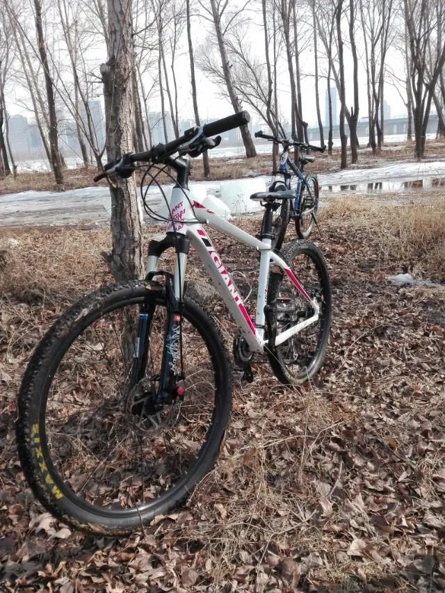 捷安特自行车和永久自行车哪个性价比更高？