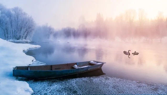 描写思乡的诗 描写思乡的诗句有哪些