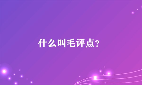 什么叫毛评点？