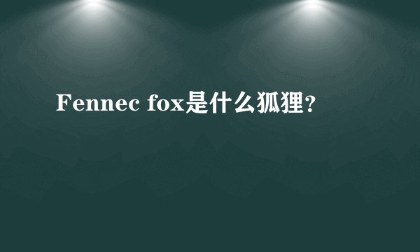 Fennec fox是什么狐狸？