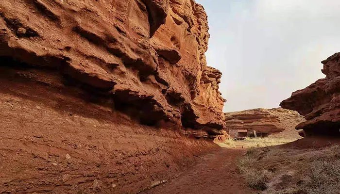 阿拉善盟属于哪个市