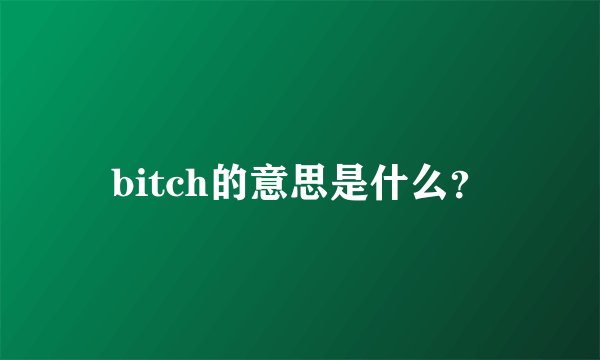 bitch的意思是什么？