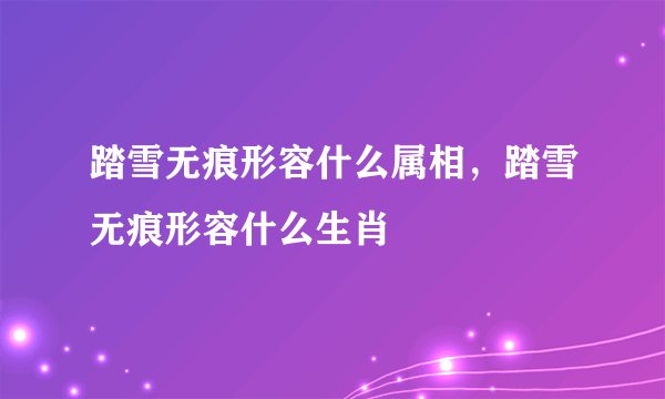 踏雪无痕形容什么属相，踏雪无痕形容什么生肖