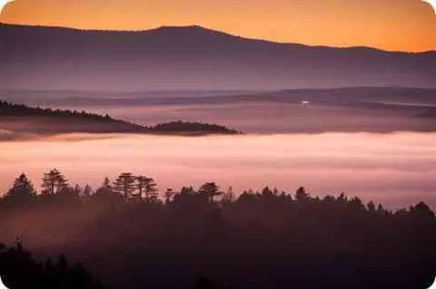 许亚军个人资料,许亚军个人资料