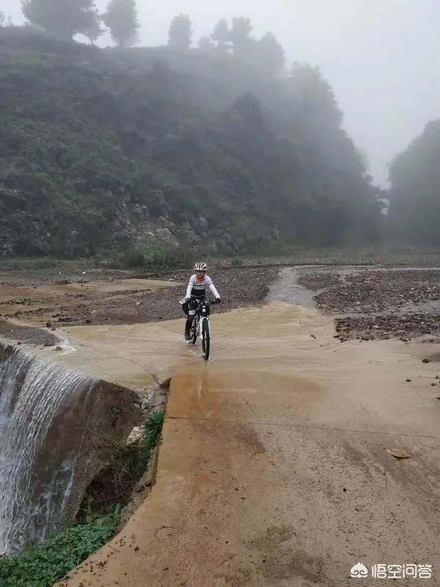 捷安特自行车和永久自行车哪个性价比更高？