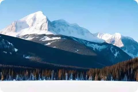 什么叫平面图形