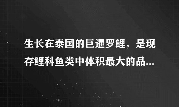 生长在泰国的巨暹罗鲤，是现存鲤科鱼类中体积最大的品种.如图所示的巨型暹罗鲤鱼长约为$2m$，质量约为$120kg$，则其体积大约为（  ）A.$0.012m^{3}$B.$ 0.12m^{3}$C.$ 12m^{3}$D.$ 120m^{3}$