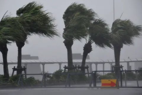 强风是风力几级的风