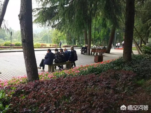 都江堰青城山周边一日游，该怎么安排？