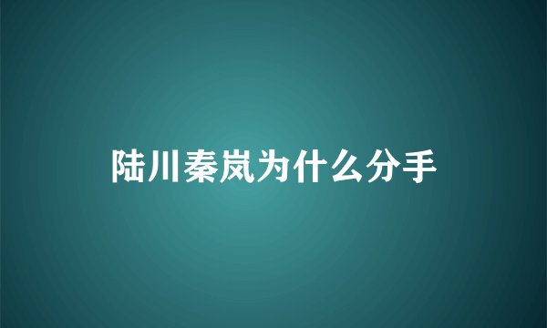 陆川秦岚为什么分手