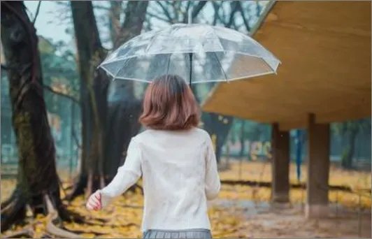 形容下雨幽默句子